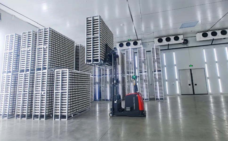 The Future of Automation: Exploring the Potential of Robotics AGVs