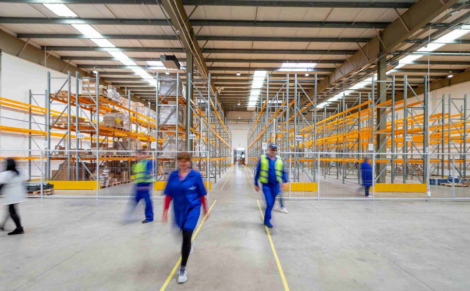 When is the Right Time to Automate Your Warehouse And Supply Chain Operation?